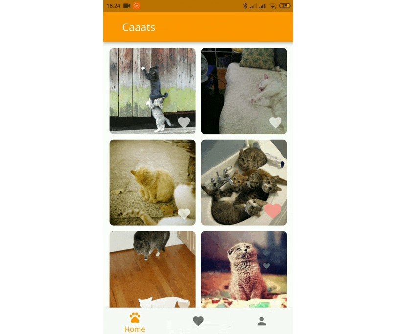 A simple Flutter app showing cat images from CatApi