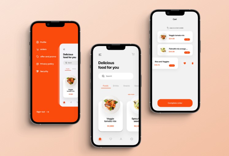 flutter food delivery app with firebase realtime db