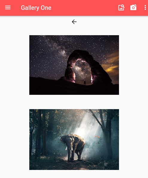 Simple Flutter Gallery Application