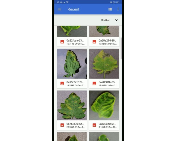 A Flutter app that detects a plant's disease given a photo of an affected part of the plant