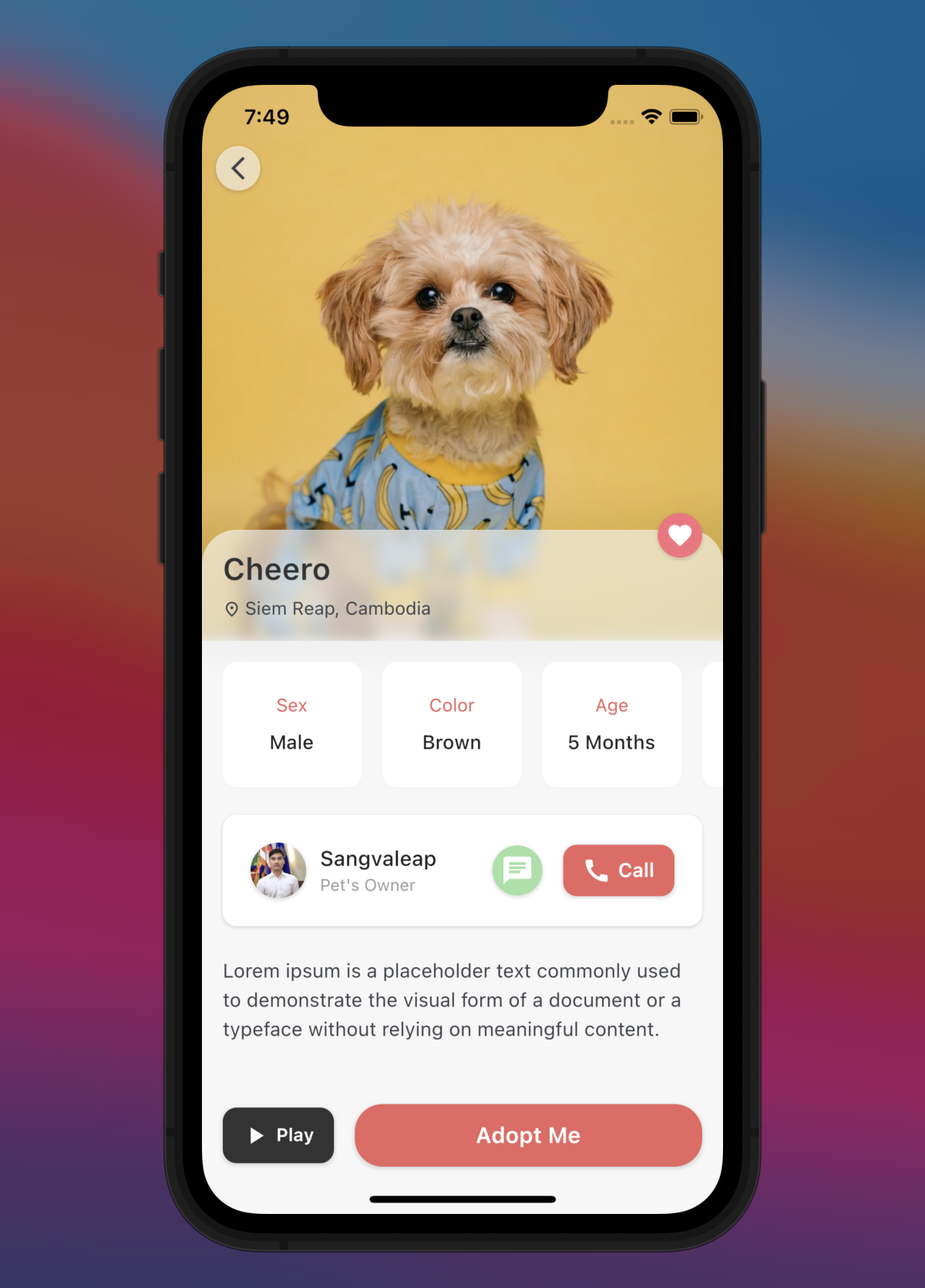 Pet Adoption App With Flutter
