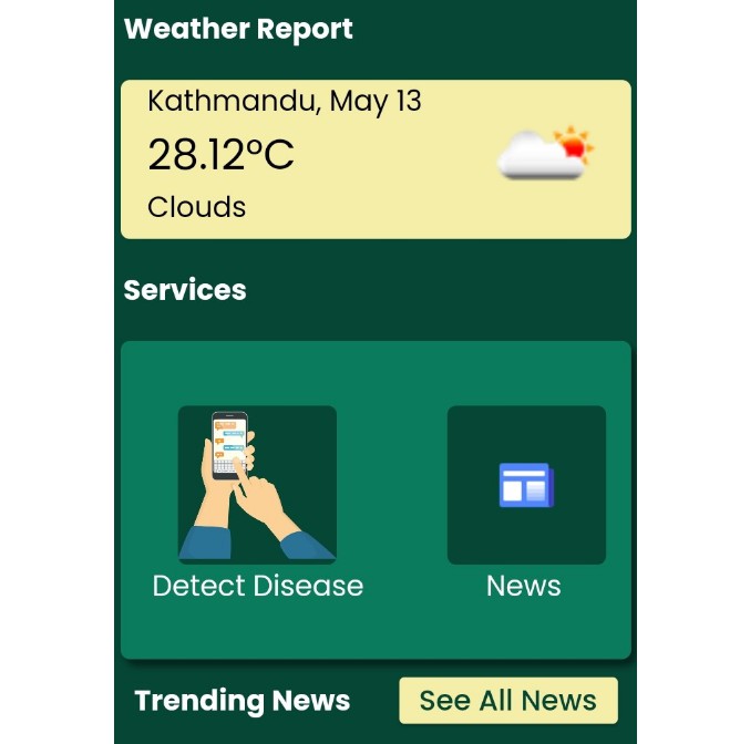 An application that allows users to detect the diseases that are on Paddy Leaves