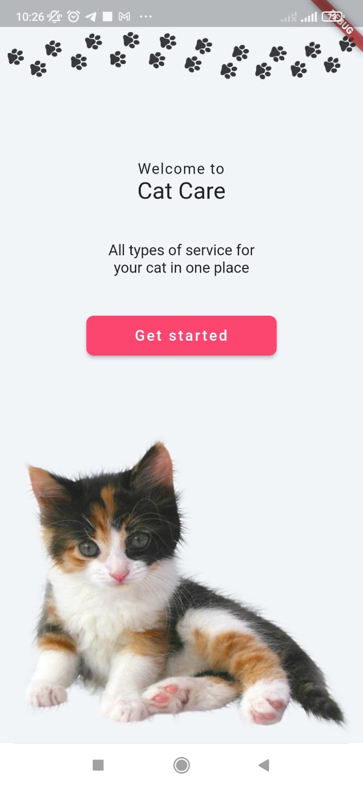 Random Cat Facts App built with Flutter