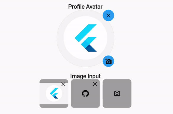A pacakage to be used for image input in flutter