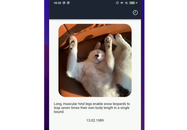 A Flutter app fetches interesting cat facts